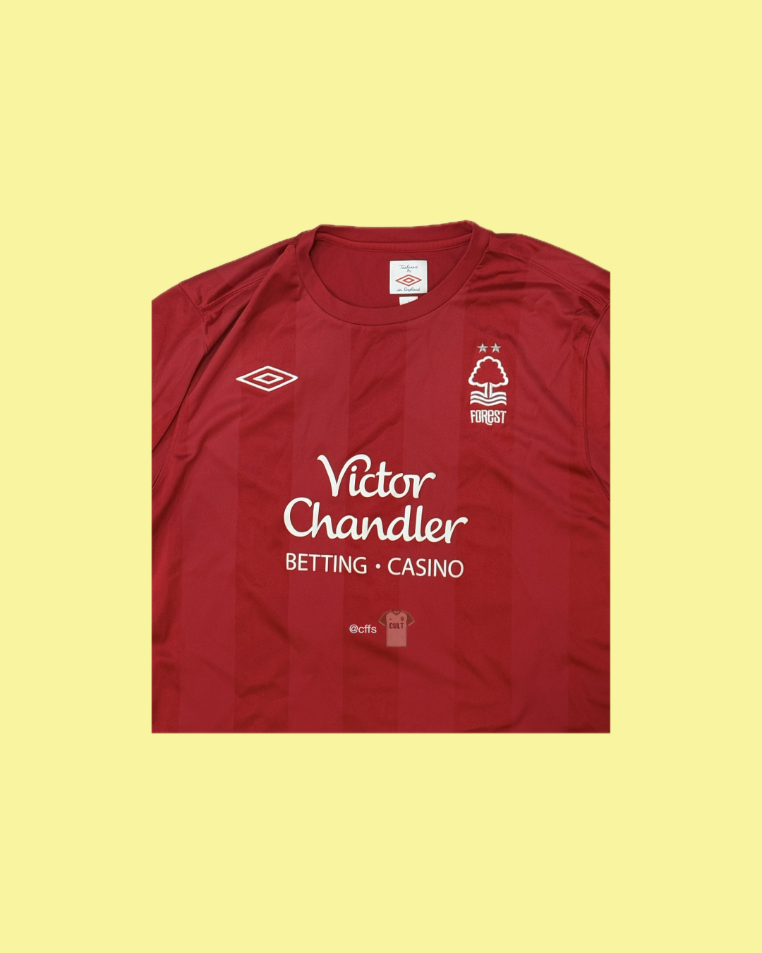 Nottingham Forest 2010/11 Umbro with Robert Earnshaw 10 Nameset Football Jersey